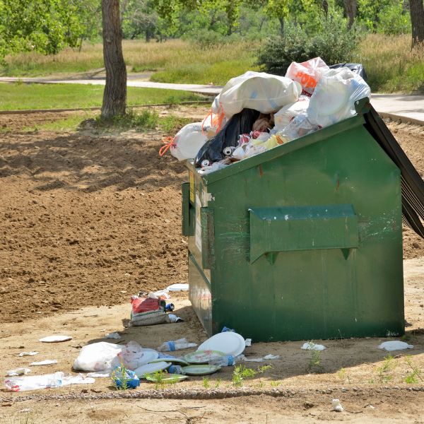 Hauly Debris Disposal Denton